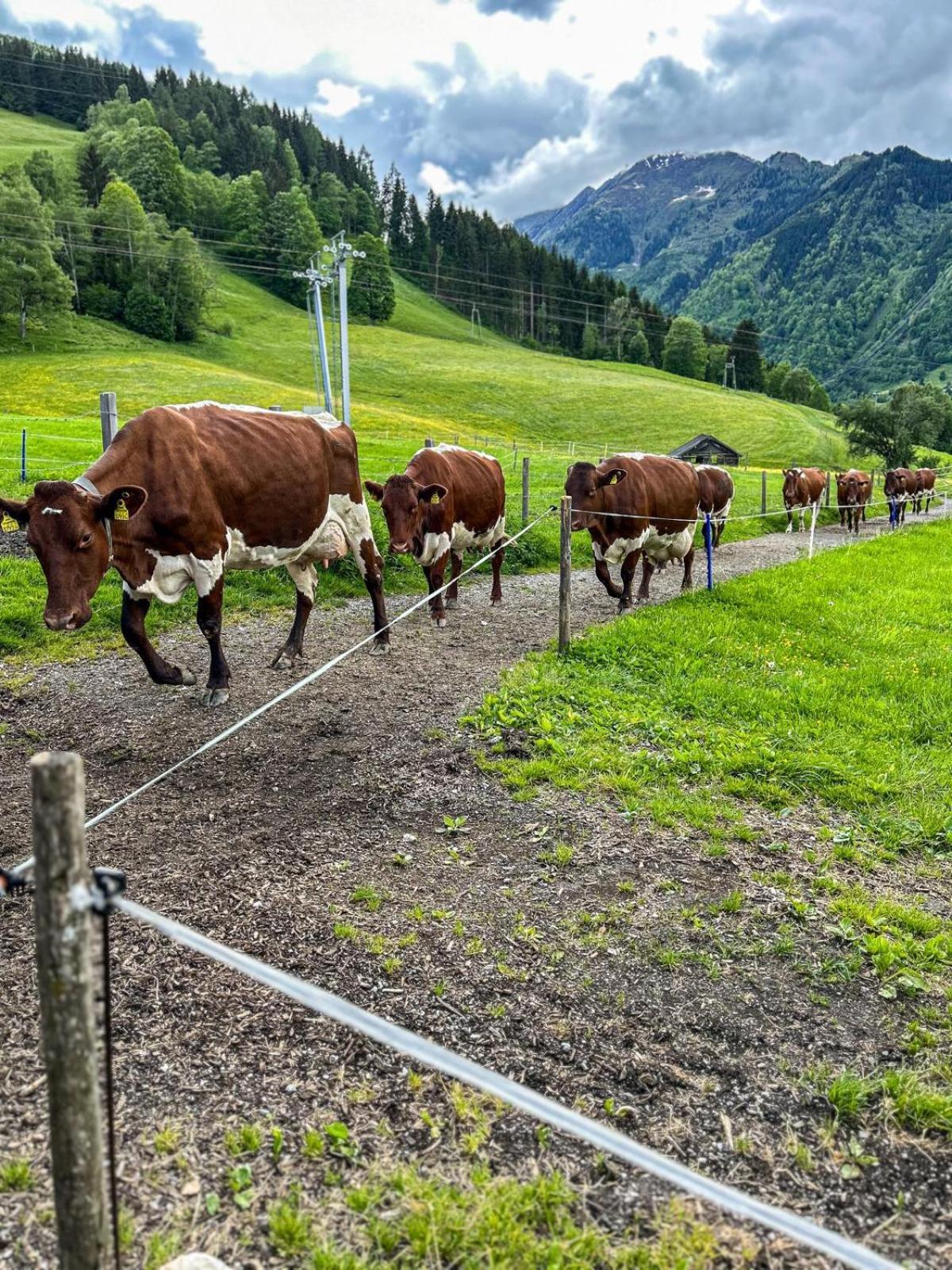 فيلا Oberlehenhof كابرون الغرفة الصورة